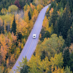 The Funny Story of the Day